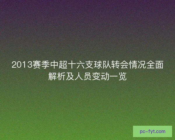 2013赛季中超十六支球队转会情况全面解析及人员变动一览